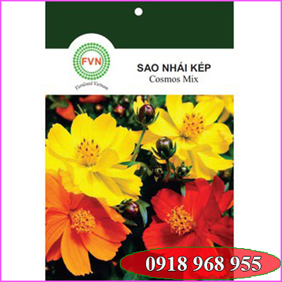 In túi hạt giống| baobigiaphat.vn